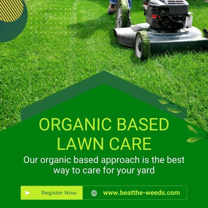 Lawn care fertilizer near me
