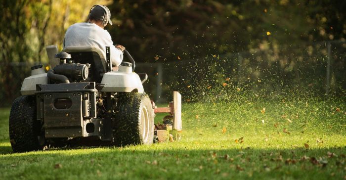 Best yard care near me