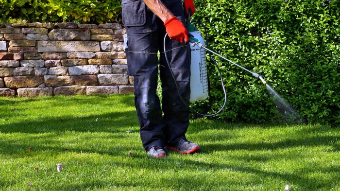 Lawn care fertilization near me