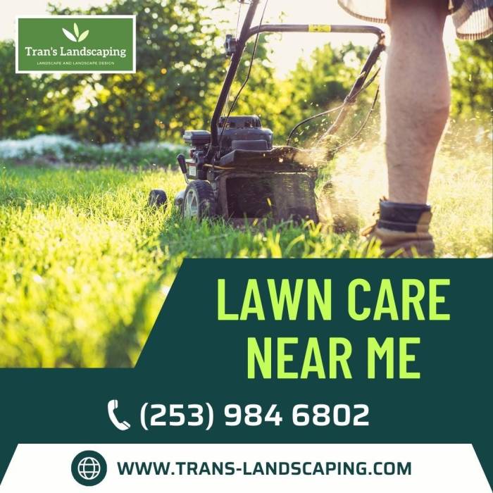 Best yard care near me