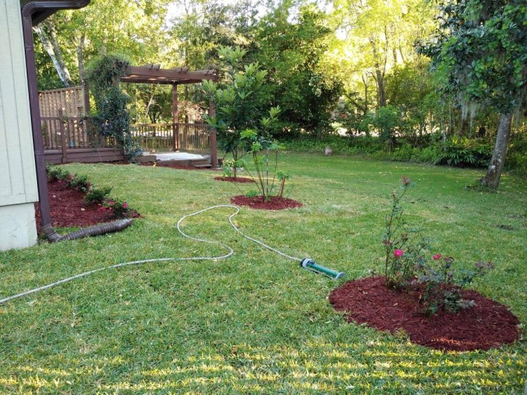 Lawn near me care mesa otay west services mowing leucadia service