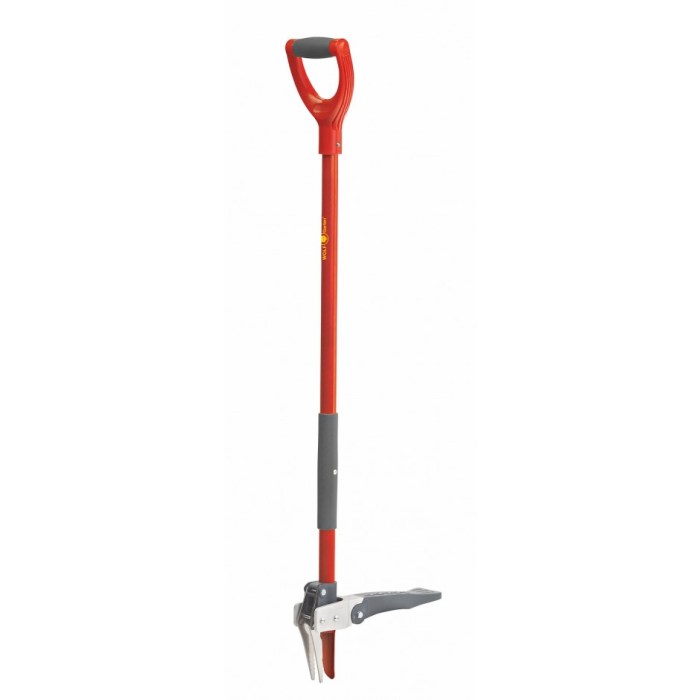 Lawn near me service mowing emerald hills diego care san landscaping landscape aim we