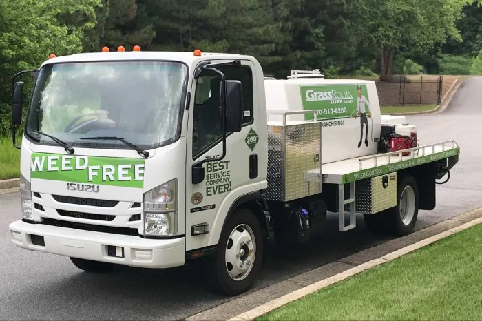 Weed lawn care near me