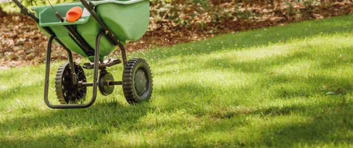 Green lawn fertilizing near me