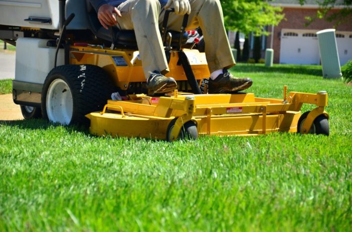 Lawn service today near me