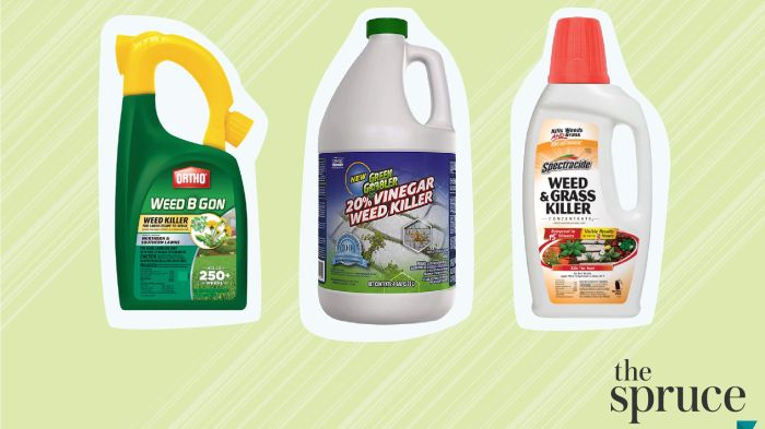 Lawn care weeds near me