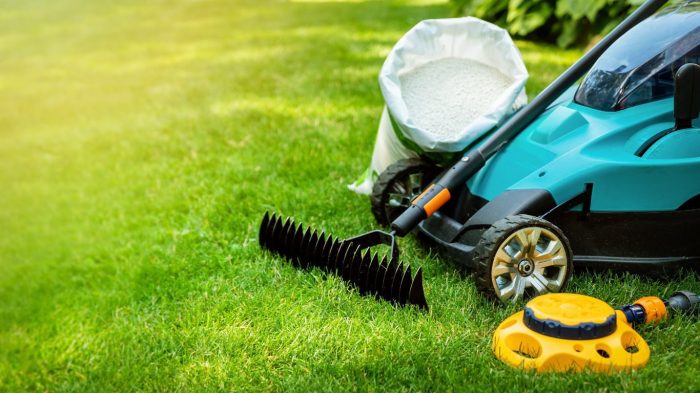 Lawn service today near me