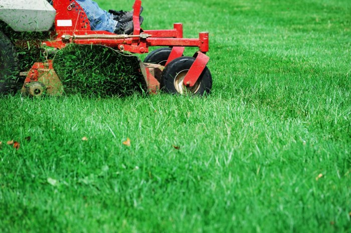 Chemical lawn care services near me