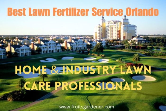 Lawn care fertilizer service near me