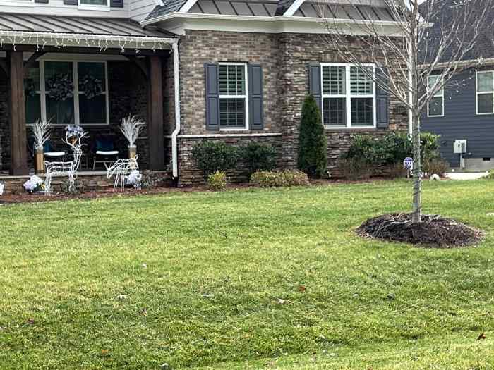 Nearest lawn service