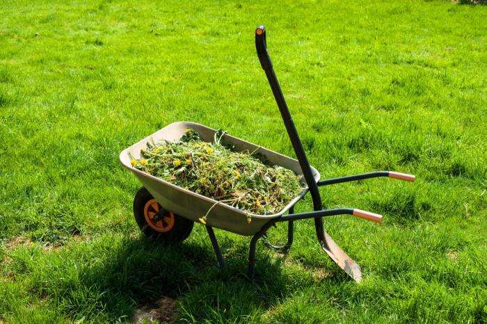 Lawn care fertilizer and weed control services near me