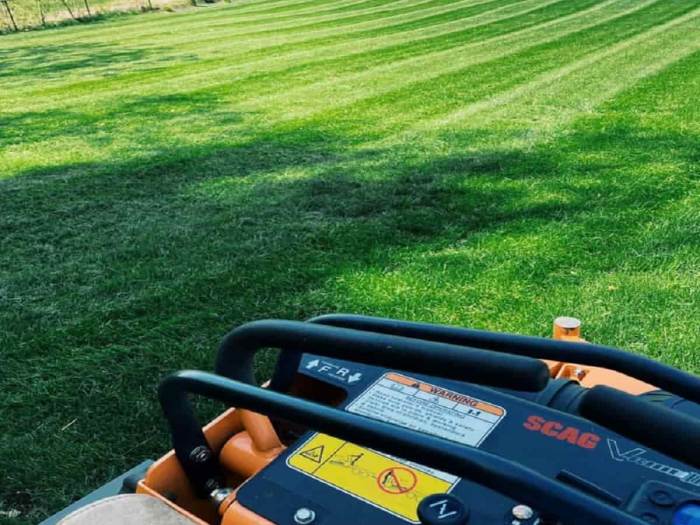 Nearest lawn service