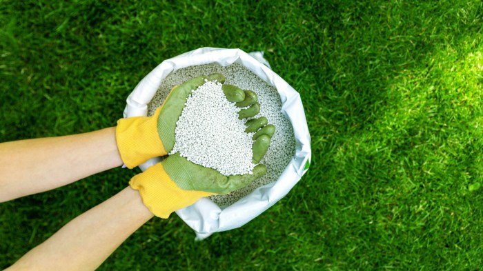 Lawn care fertilizer near me