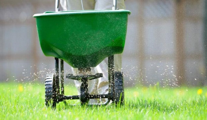 Lawn care fertilization near me