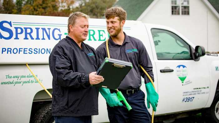Local lawn service companies