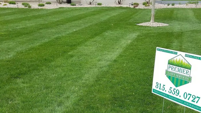 Lawn care fertilizer and weed control services near me