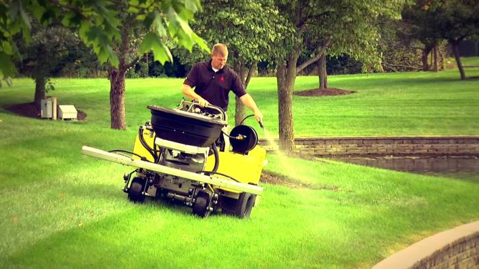 Lawn care fertilizer and weed control services near me