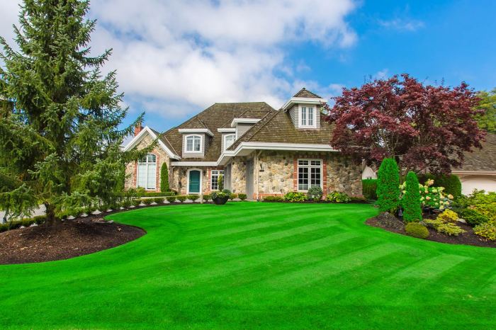 Green lawn fertilizing near me