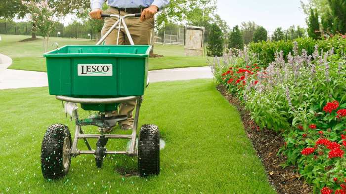 Lawn service fertilizer near me