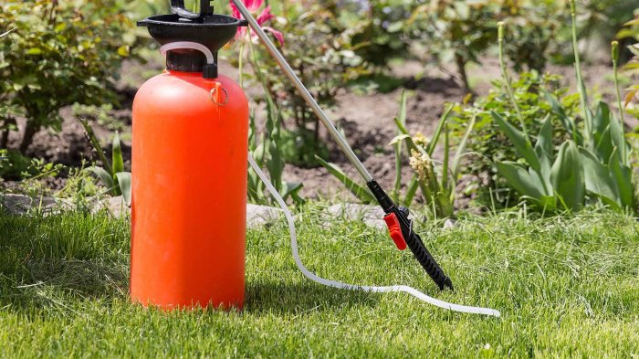 Lawn care weeds near me