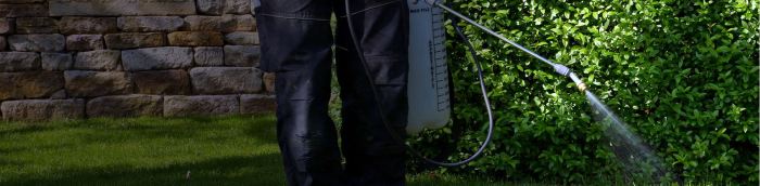 Lawn care weeds near me