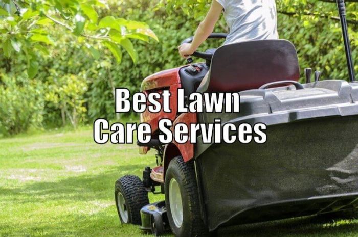 Chemical lawn care services near me