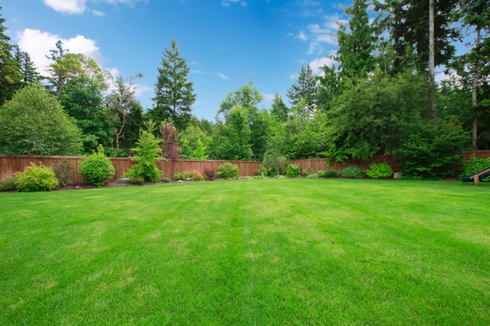Lawn care fertilizer service near me