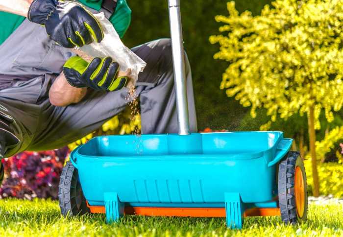 Lawn service fertilizer near me