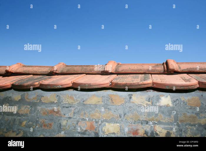 Roof and facade