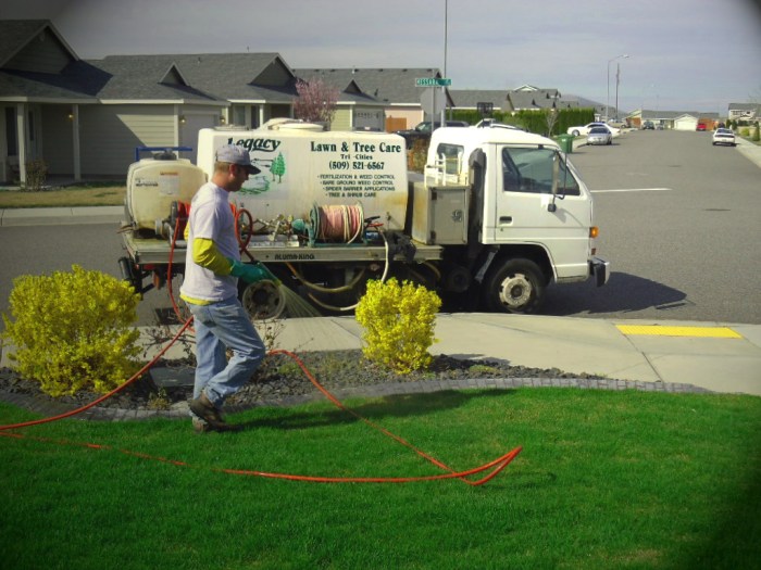Green lawn fertilizing near me