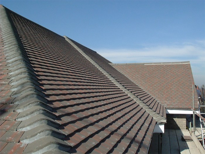 Roof facades