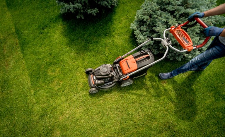 Lawn Care Treatment Companies Near Me