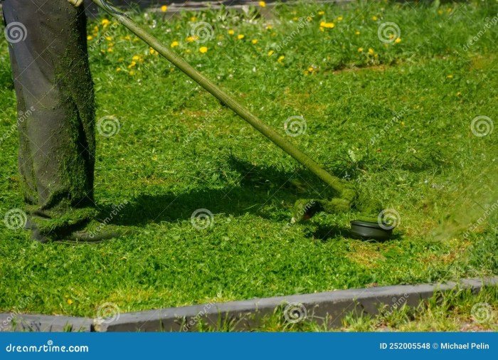 Weed lawn care near me