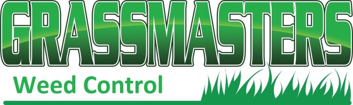 Lawn weed care service near me