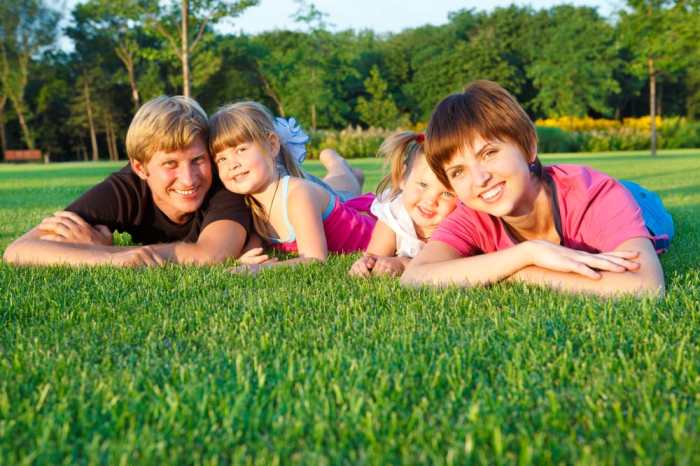 Lawn care fertilization near me