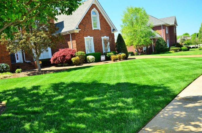 Nearest lawn service