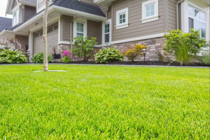 Nearest lawn service