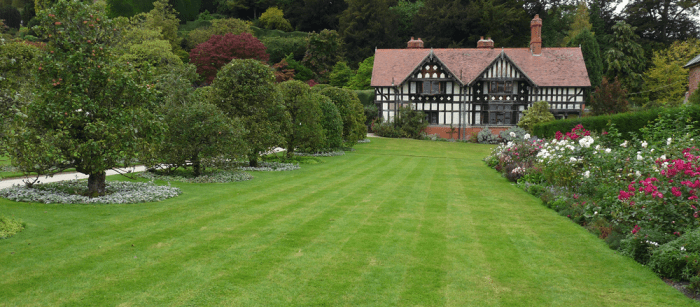 Green lawn fertilizing near me