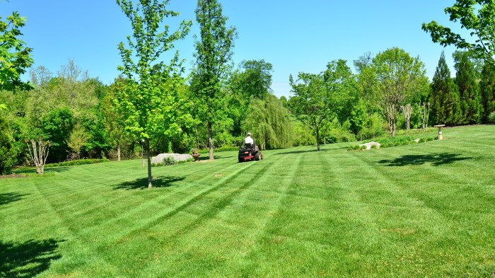 Green lawn fertilizing near me
