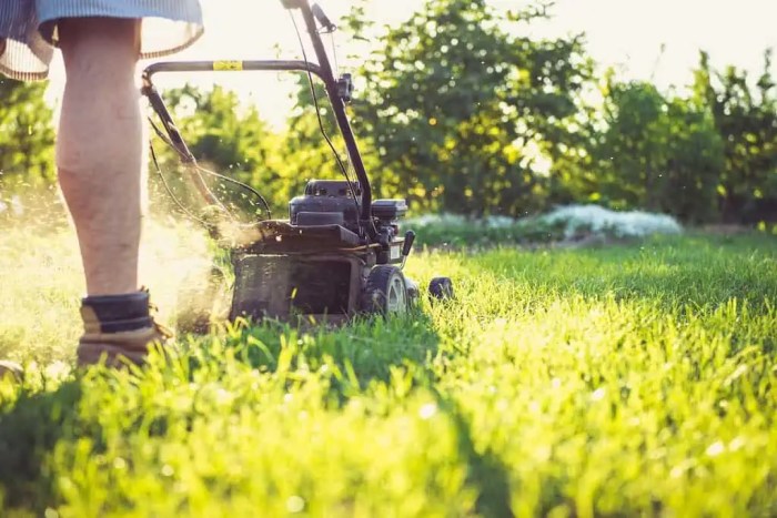 Chemical lawn care services near me