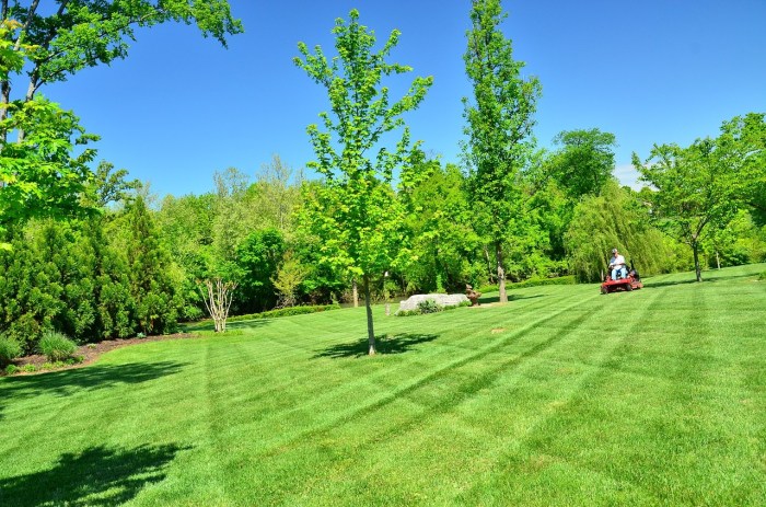 Lawn franchise diversifying
