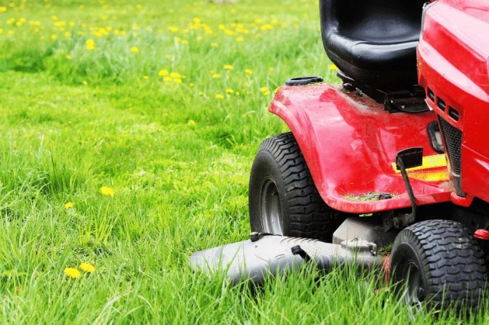 Weed lawn care near me