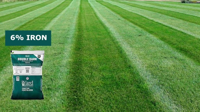 Lawn care fertilizer near me