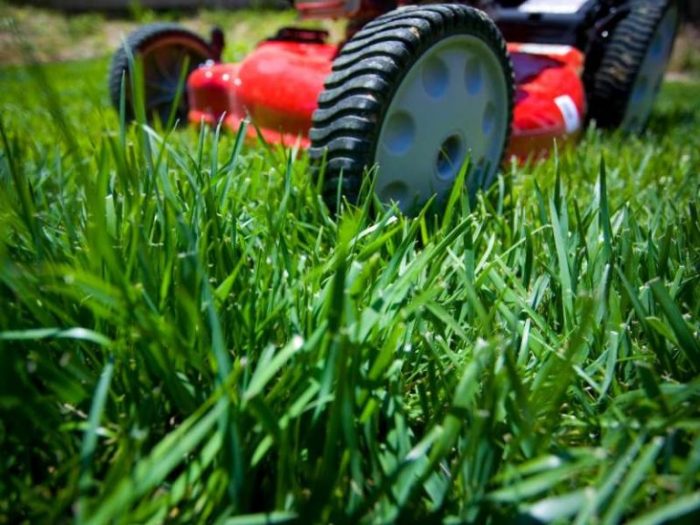 Nearest lawn service