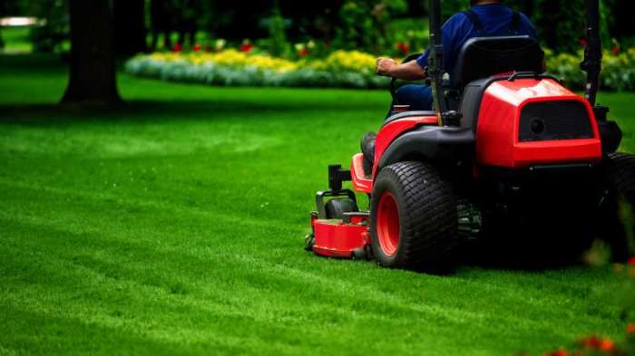Lawn service today near me