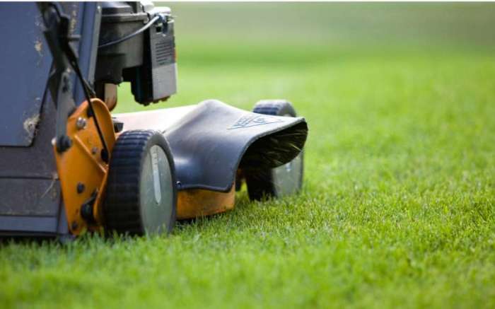 Lawn service today near me