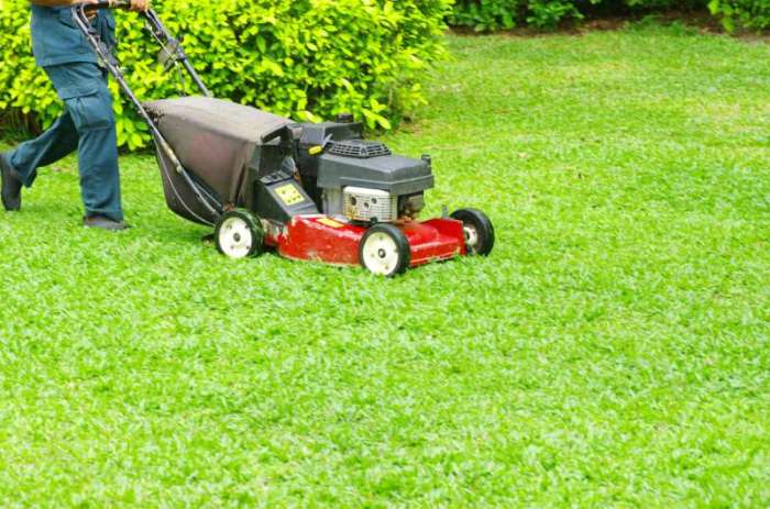 Best yard care near me
