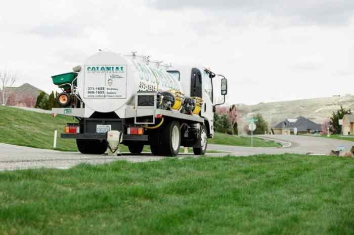 Lawn weed care service near me