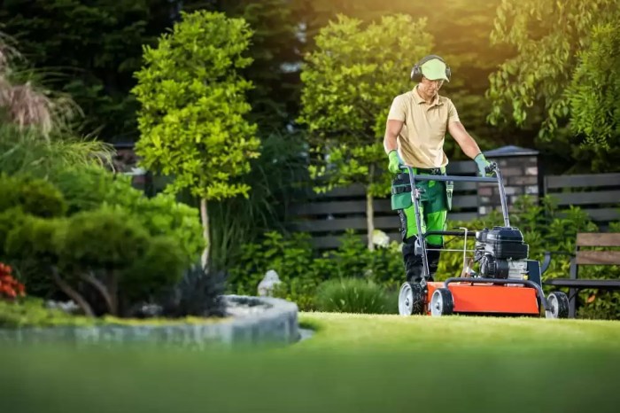 Lawn service today near me