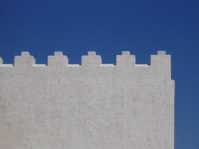Roof and facade